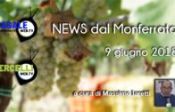 TG – Giovedì 17 aprile 2025