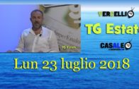 TG – Martedì 16 aprile 2024