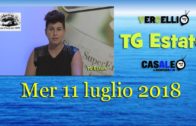 TG –Lunedì 22 aprile 2024