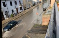 TG – Giovedì 17 aprile 2025
