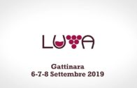 TG – Giovedì 17 aprile 2025
