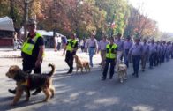 Casale Monferrato: le celebrazioni per il 25 aprile