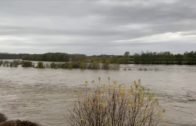 Casale Monferrato: il Po alle 12,30 del 24 novembre