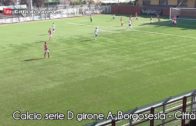 Calcio serie D girone A: Borgosesia – Città di Varese 2-2 (Manuel Lunardon)