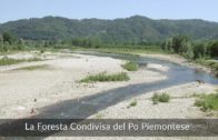 La Foresta condivisa del Po piemontese: un progetto per contrastare i cambiamenti climatici