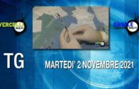 TG – Martedì 2 novembre 2021