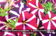 TG – Martedì 16 aprile 2024