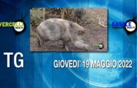 TG – Giovedì 19 maggio 2022