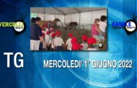 TG – Mercoledì 1° giugno 2022