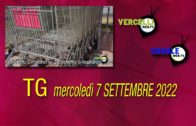 TG – Mercoledì 7 settembre 2022