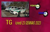 TG – Giovedì 17 aprile 2025