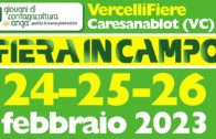 Caresanablot, Vercelli: torna la Fiera in Campo