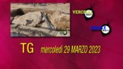 TG – Mercoledì 29 marzo 2023