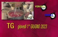 TG – Giovedì 1° giugno 2023