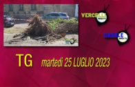 TG – Giovedì 17 aprile 2025