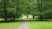 DSC00190