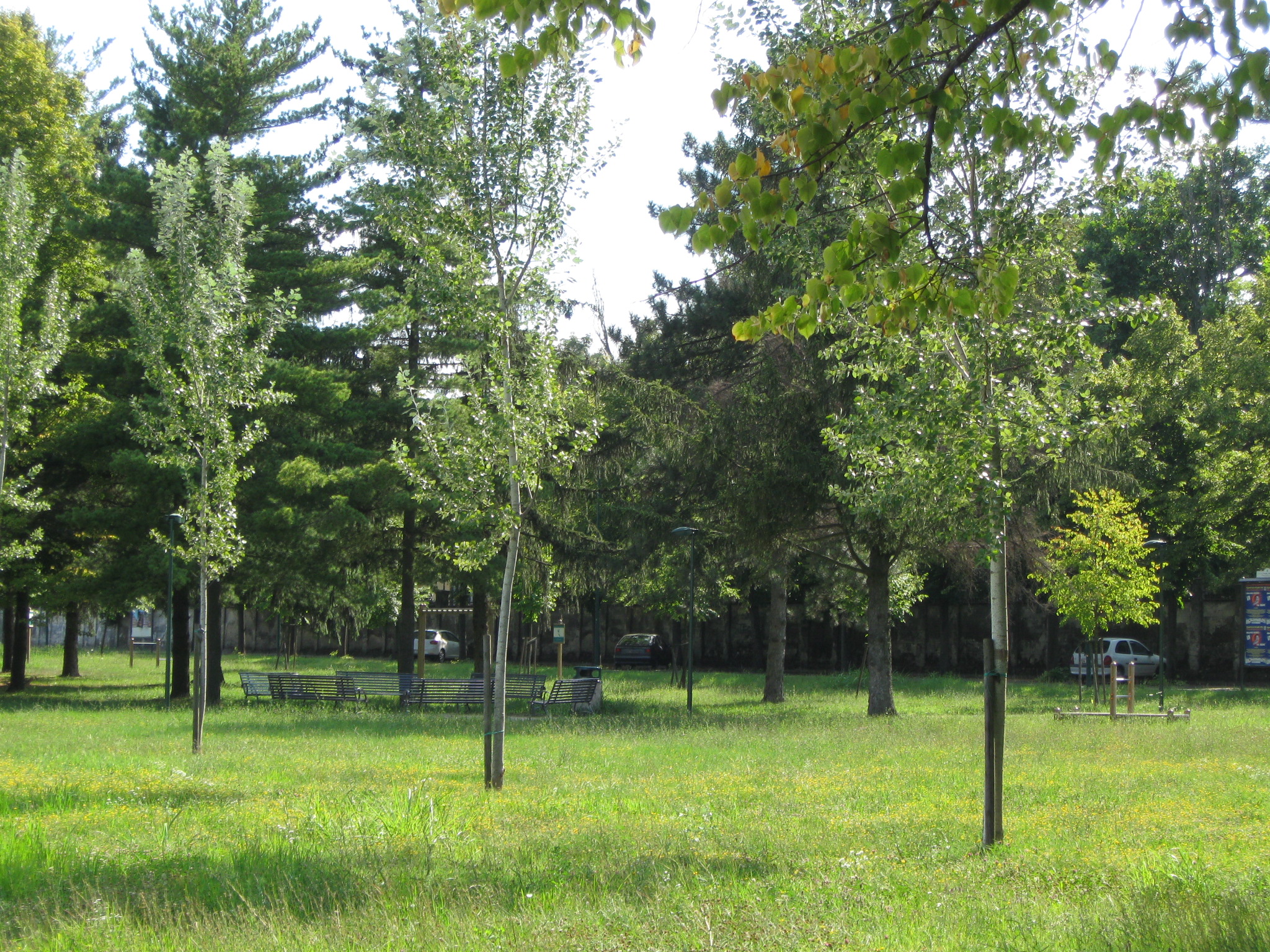 Casale Monferrato: “Regala un albero alla tua città!”