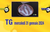 TG – Mercoledì 31 gennaio 2024