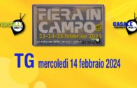 TG – Mercoledì 14 febbraio 2024