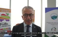 TG – Giovedì 17 aprile 2025