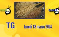 TG – Lunedì 18 marzo 2024