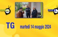 TG – Martedì 14 maggio 2024