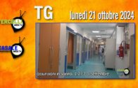 TG – Giovedì 17 aprile 2025
