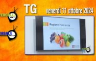TG – Giovedì 17 aprile 2025