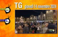 TG – Giovedì 14 novembre 2024