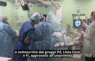 TG – Giovedì 17 aprile 2025
