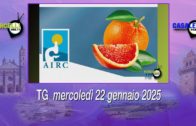 TG – Giovedì 17 aprile 2025