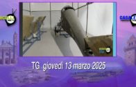 TG – Giovedì 17 aprile 2025