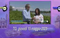 Piemonte: alluvione di aprile, presto i sopralluoghi dei funzionari del governo per i risarcimenti