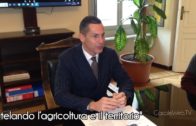 TG – Lunedì 9 giugno 2025