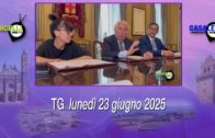 Casale Monferrato. “MOVE CARE”: trasporto a chiamata per gli screening oncologici