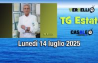 TG – Giovedì 3 luglio 2025