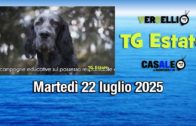 TG – Martedì 22 luglio 2025