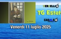 Piemonte: aggiornamenti dal consiglio regionale di Carlo Riva Vercellotti