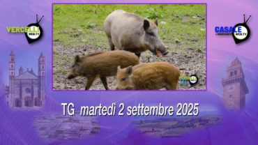 TG – Martedì 2 settembre 2025