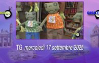 ASL ALessandria: Prevenzione Serena – Screening Oncologico