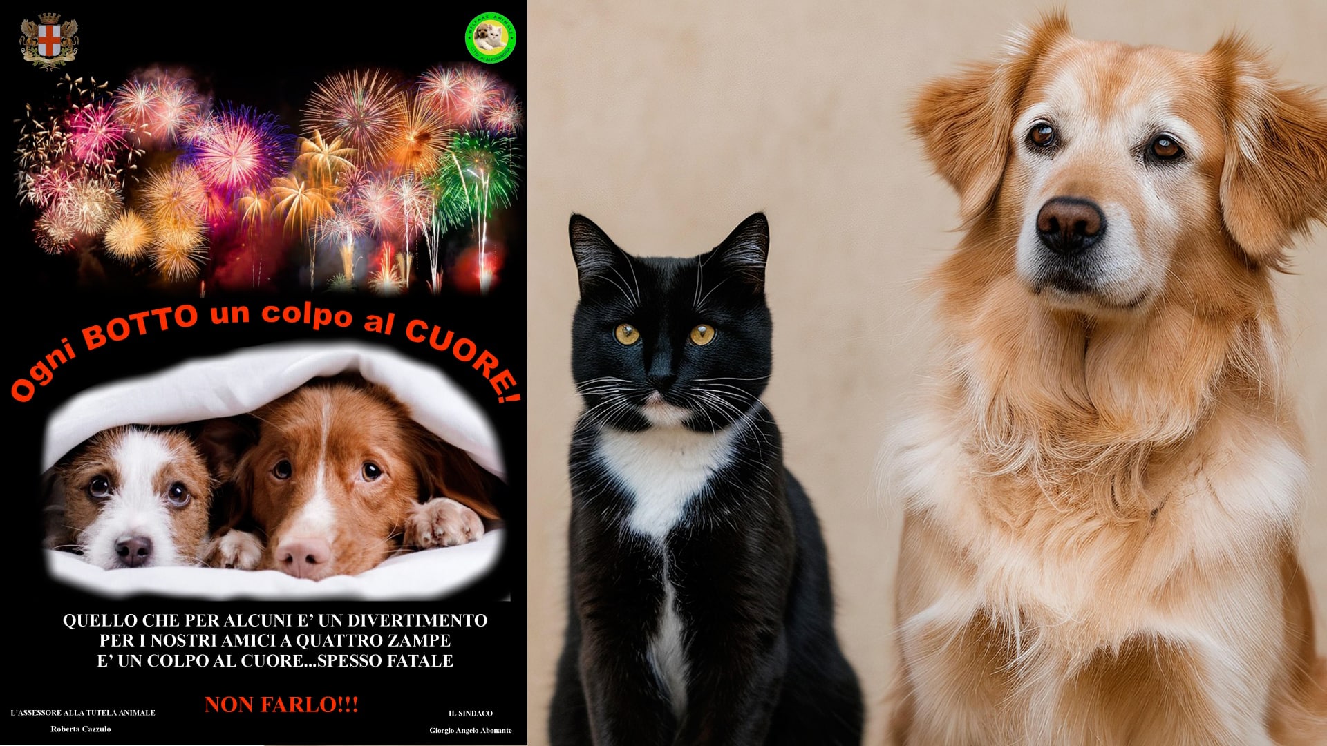 Alessandria: Ogni botto un colpo al cuore!