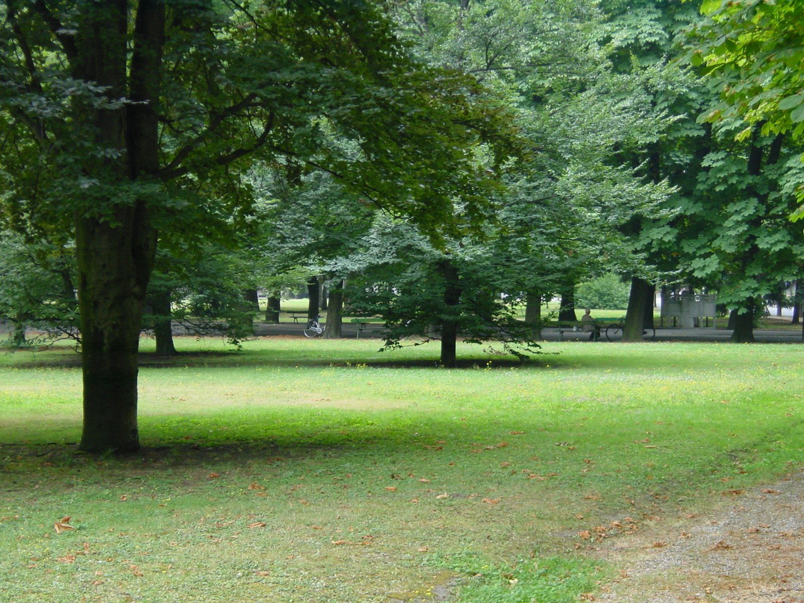 Casale Monferrato: nuove piantumazioni in città