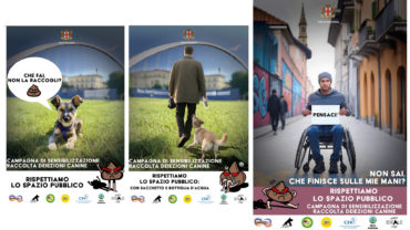 campahne-cani-al