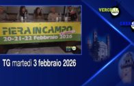 “Giovani, Creatività, Innovazione: un nuovo approccio per la Capacity Building in Piemonte”
