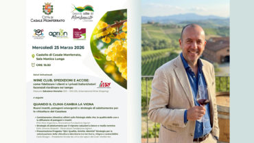 casael-futuro-vitivinicola