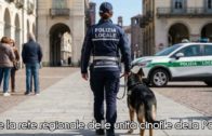 TG – Venerdì 17 luglio 2026