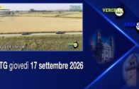TG – Giovedì 3 settembre 2026