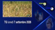 TG – Lunedì 7 settembre 2026