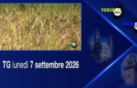 TG – Mercoledì 29 luglio 2026