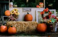 TG – Martedì 27 ottobre 2026